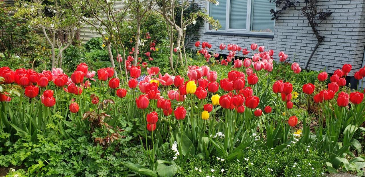 Mini-Apartment In The Flowerbed Søborg Exterior foto
