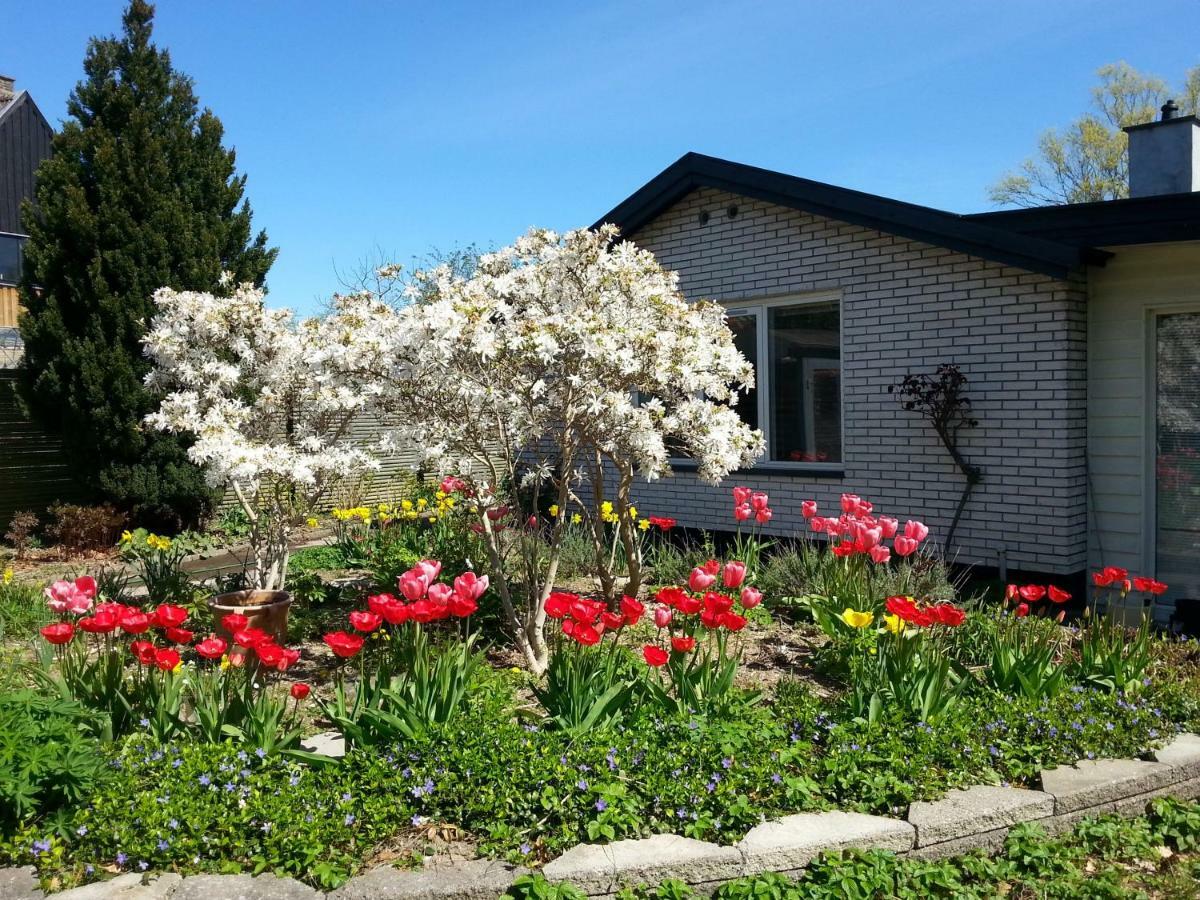 Mini-Apartment In The Flowerbed Søborg Exterior foto